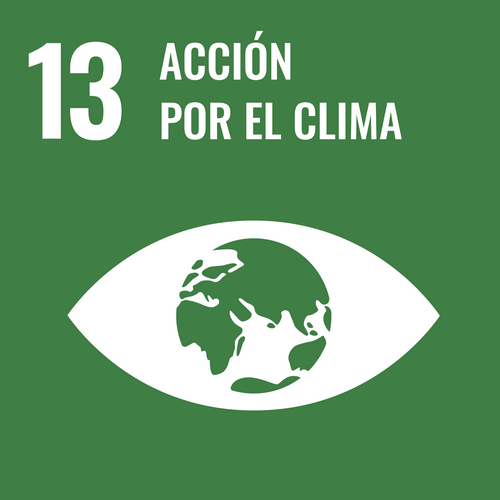 goal13