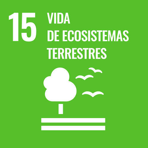 goal15